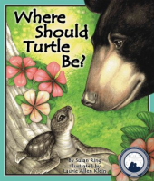 Where_should_turtle_be_